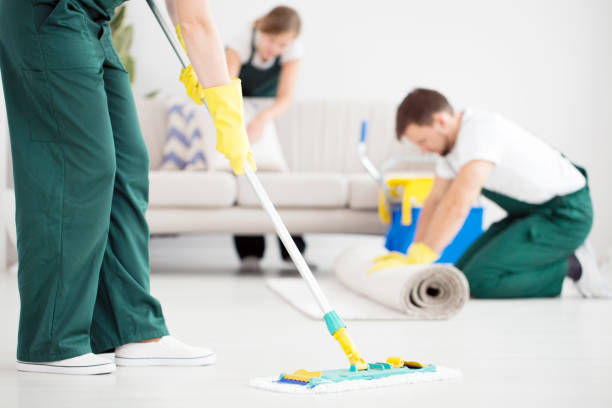Methods Of Professional Carpet Cleaning In San Diego, Ca