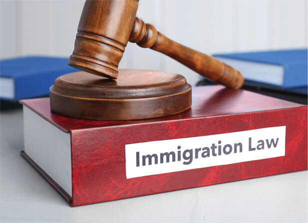 Benefits of Immigration Consultation: Why You Should Seek Professional Help